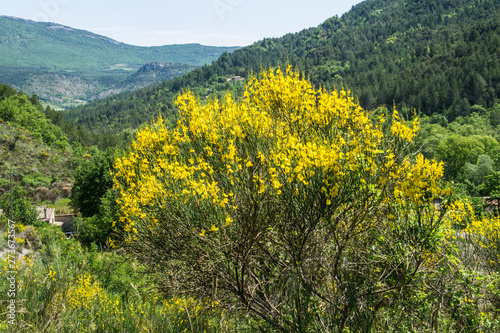 val of oule,motte chalancon,drome,france photo