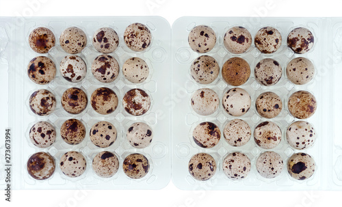 Guail eggs in plastic containers. Isolated on white background. photo