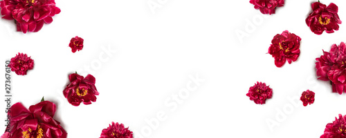 Peony Flower Arrangement. Floral pattern of red peony flowers on white background.
