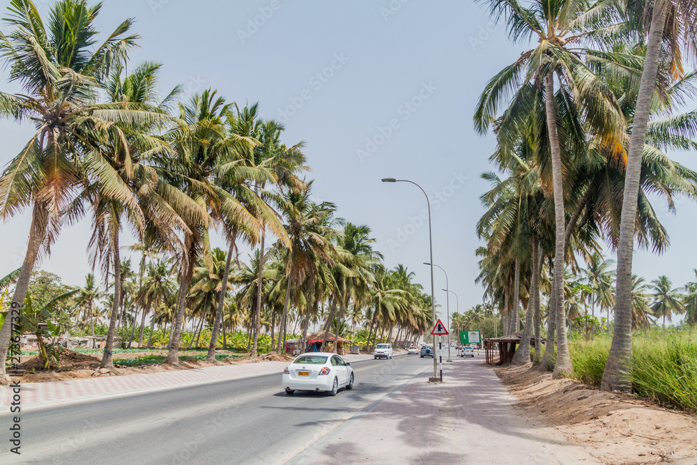 SALALAH, OMAN - FEBRUARY 26, 2017: Palm lined road in Salalah, Oman