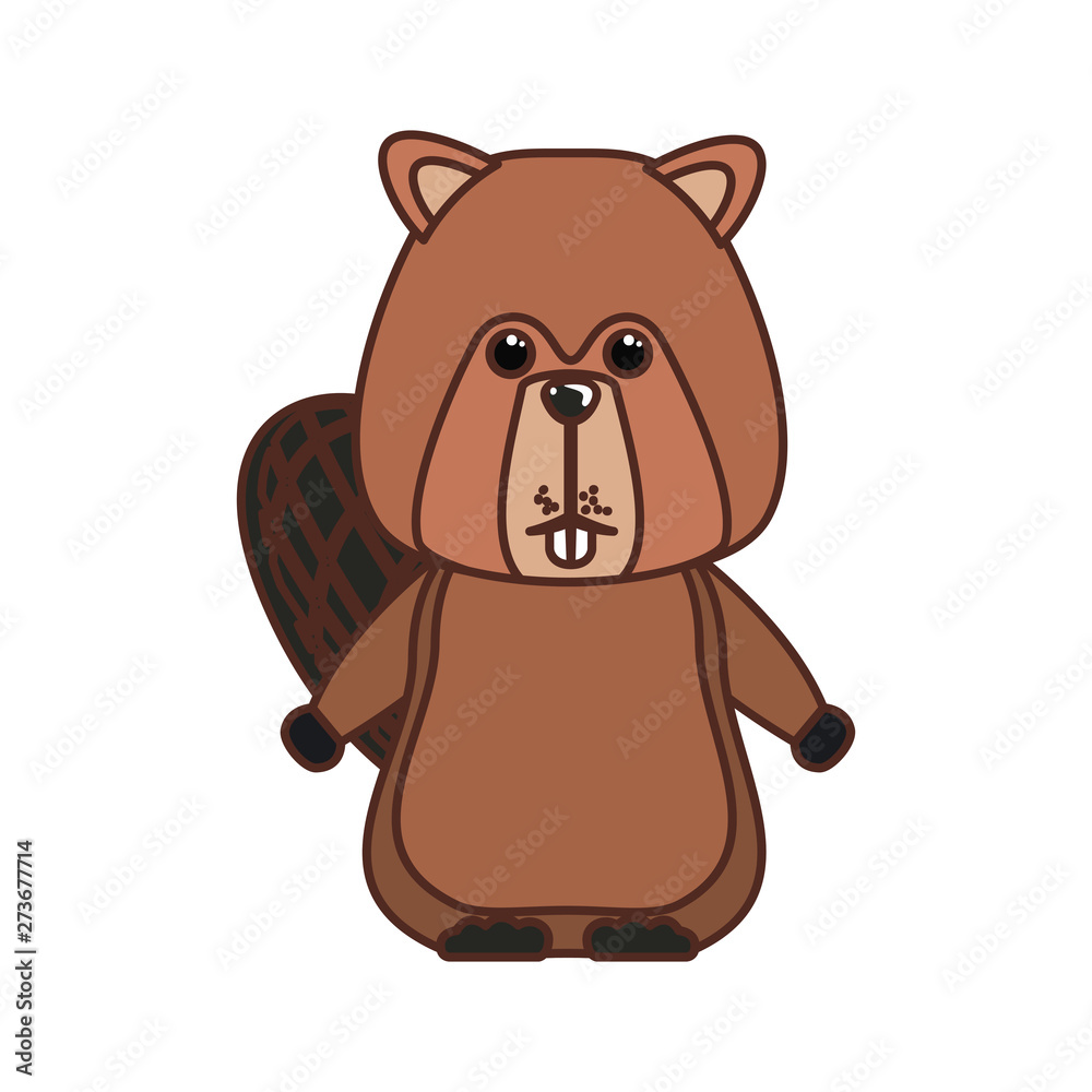 Obraz premium Beaver forest animal of canada design