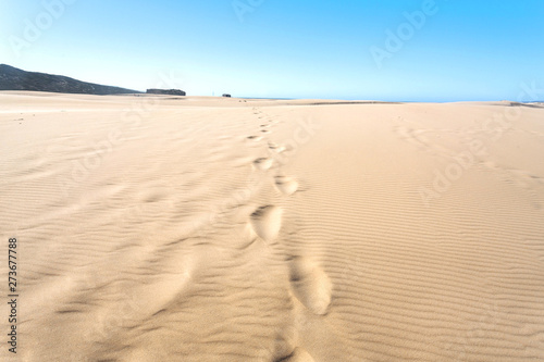 Sand dunes with human footprints near seaside. Hot sunny day in deserted place