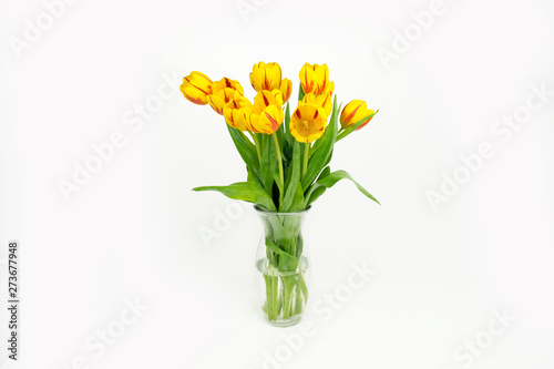 Spring Flowers. Fresh yellow Tulips Bouquet.