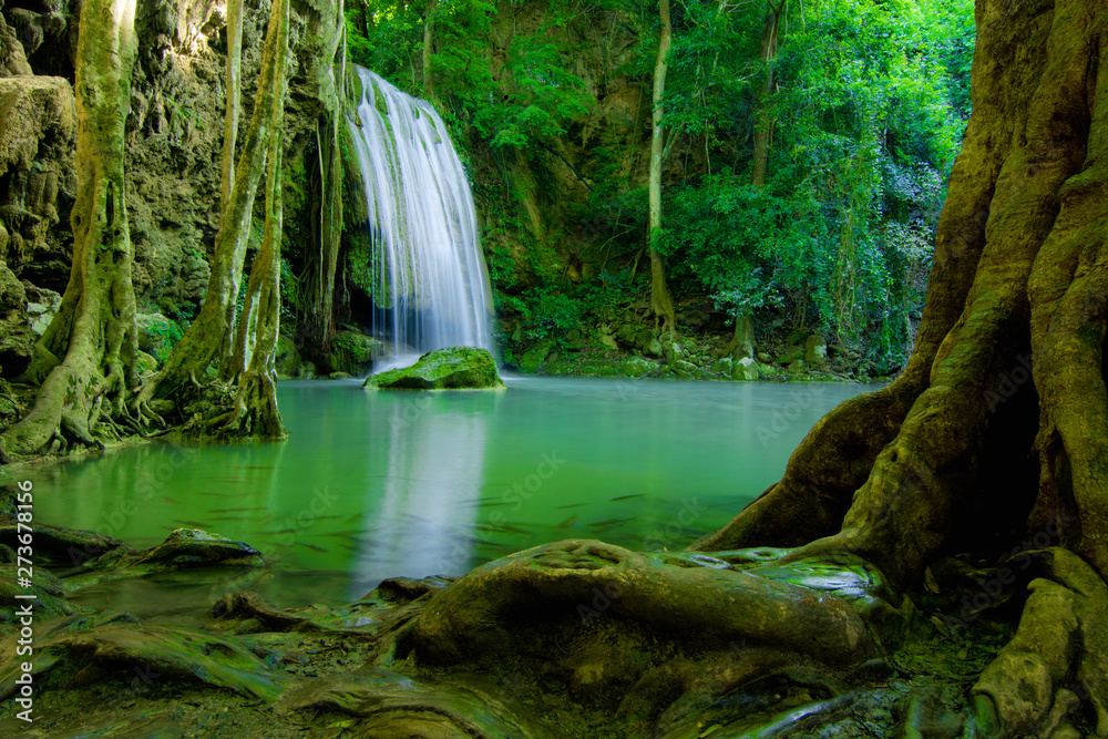 water fall in green forest