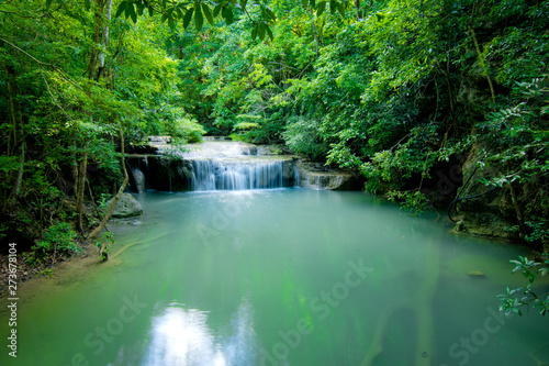 water fall in green forest
