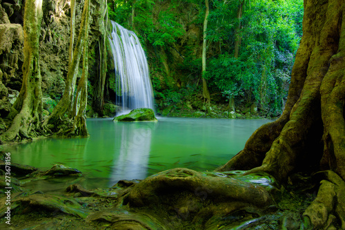 Fototapeta Naklejka Na Ścianę i Meble -  water fall in green forest