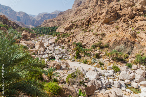 Creek in Wadi Tiwi valley, Oman
