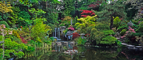 Fototapeta Naklejka Na Ścianę i Meble -  An impressive Japanese water garden with colourful display of Acers and Maples shrubs and plants