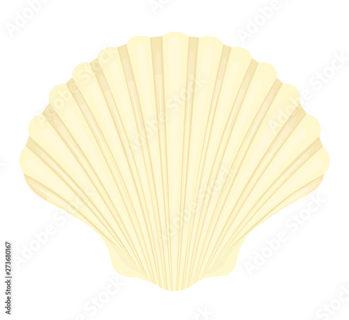 Seashell bright cartoon. Colorful shellfish symbol, scallop Shell isolated on white background. Vector illustration