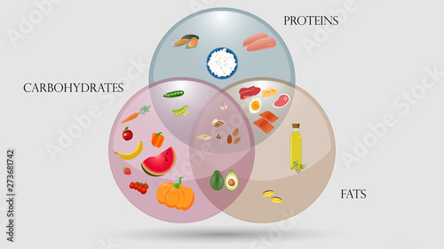 Proteins, fats and carbohydrates scheme. Nutrition vector illustration