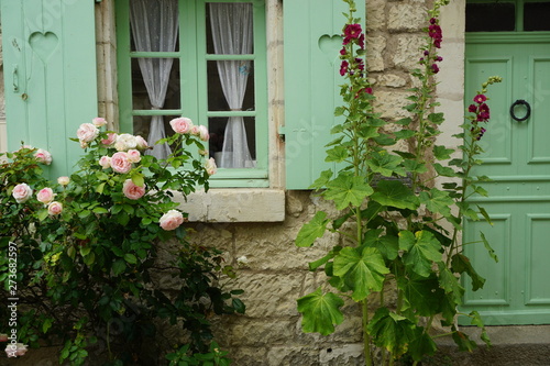 pink roses and hollyhock by a house