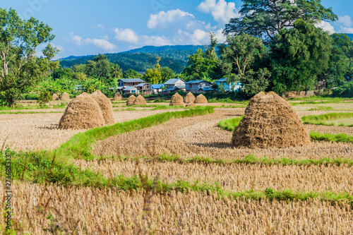 Rural landscape with rice straw stacks near Hsipaw, Myanmar photo