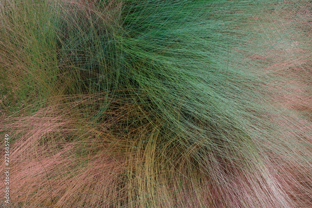 Obraz premium Artistic look abstract of fur, dreamy background. Closeup, 3D rendering & illustration.