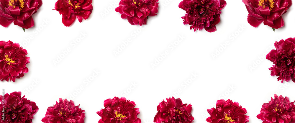 Floral pattern of red peony flowers on a white background.