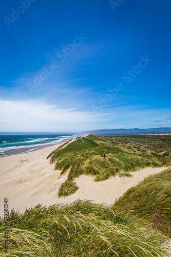Sand dunes on the Oregon coast, on a sunny summers day