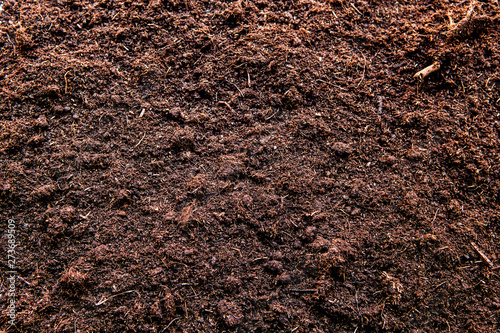 natural fresh ground background nobody 