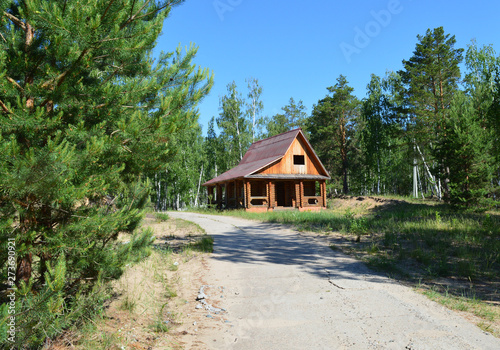 lonely wooden house among the trees of the forest thicket on a Sunny summer day