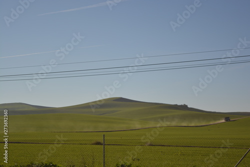 landscape with fog and green mountain blue sky background