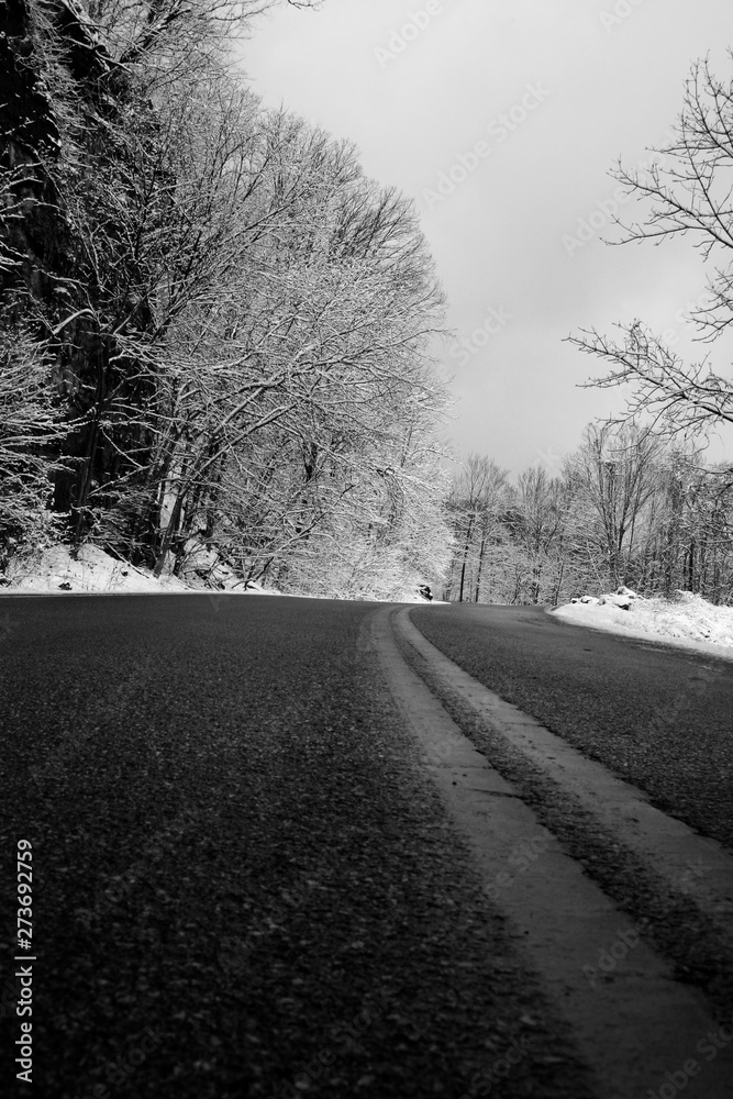 Fototapeta premium Winter Drive