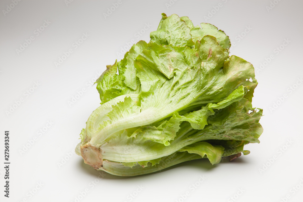 La Lechuga es un alimento que se puede comer en ensaladas acompañada de tomate, pepino, cebolla aderezada con aceite y sal. La Lechuga es un alimento que se puede comer en ensaladas acompañada de tomate, pepino, cebolla aderezada con aceite y sal.