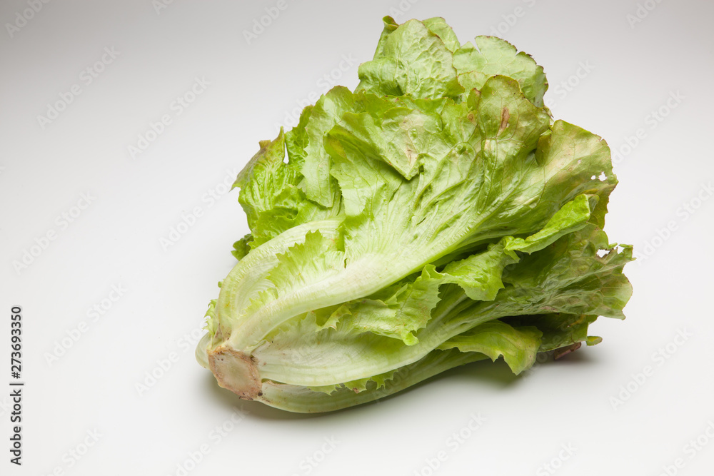 La Lechuga es un alimento que se puede comer en ensaladas acompañada de tomate, pepino, cebolla aderezada con aceite y sal. La Lechuga es un alimento que se puede comer en ensaladas acompañada de tomate, pepino, cebolla aderezada con aceite y sal.