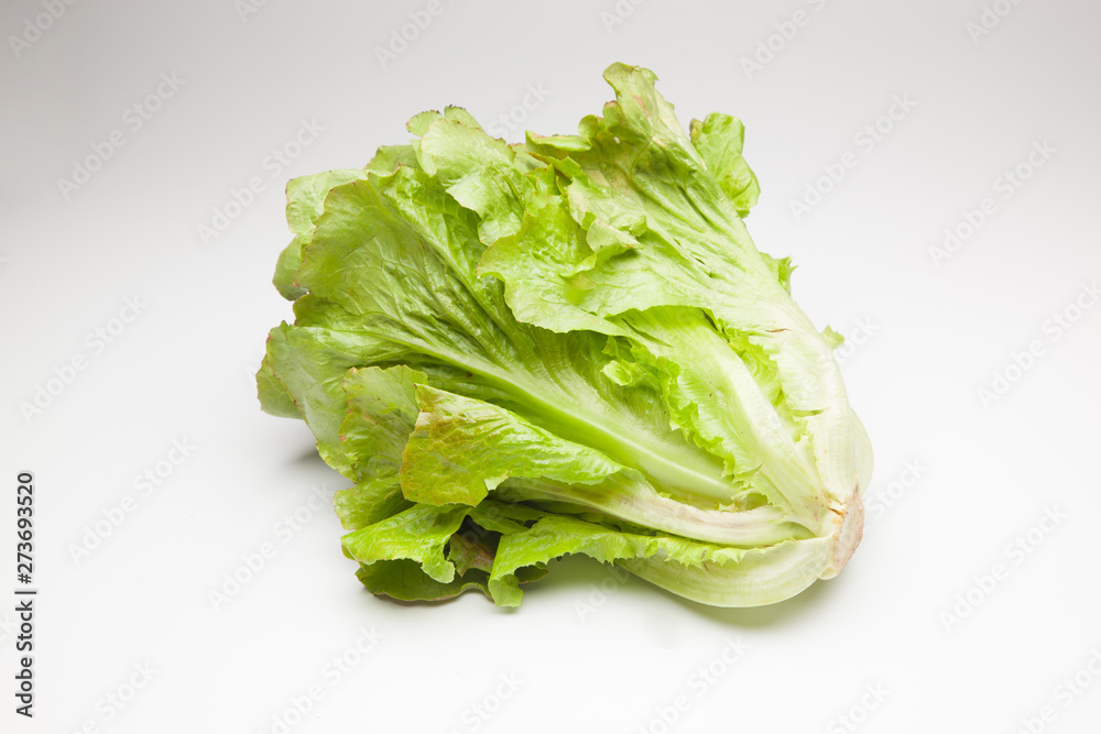 La Lechuga es un alimento que se puede comer en ensaladas acompañada de tomate, pepino, cebolla aderezada con aceite y sal. La Lechuga es un alimento que se puede comer en ensaladas acompañada de tomate, pepino, cebolla aderezada con aceite y sal.