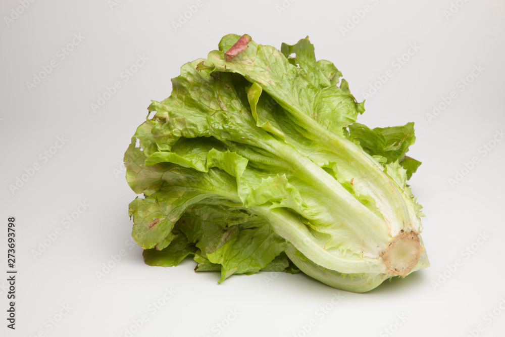 La Lechuga es un alimento que se puede comer en ensaladas acompañada de tomate, pepino, cebolla aderezada con aceite y sal. La Lechuga es un alimento que se puede comer en ensaladas acompañada de tomate, pepino, cebolla aderezada con aceite y sal.