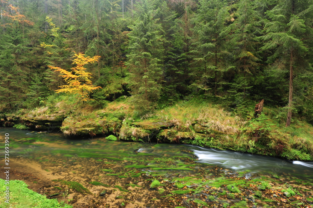 Autumn colors river Autumn colors river