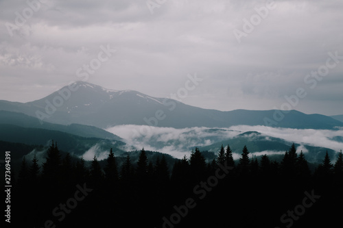 foggy landscape in the wild Carpathian mountains