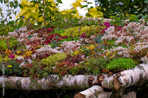 Vászonkép The roof of a garden shelter planted and covered with assorted Sedums