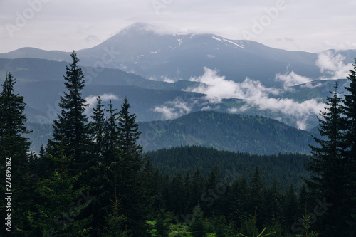 foggy landscape in the wild Carpathian mountains © Mykhailo