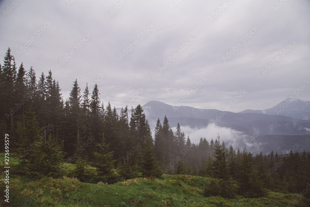 foggy landscape in the wild Carpathian mountains