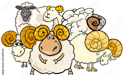 ram and sheep group cartoon illustration
