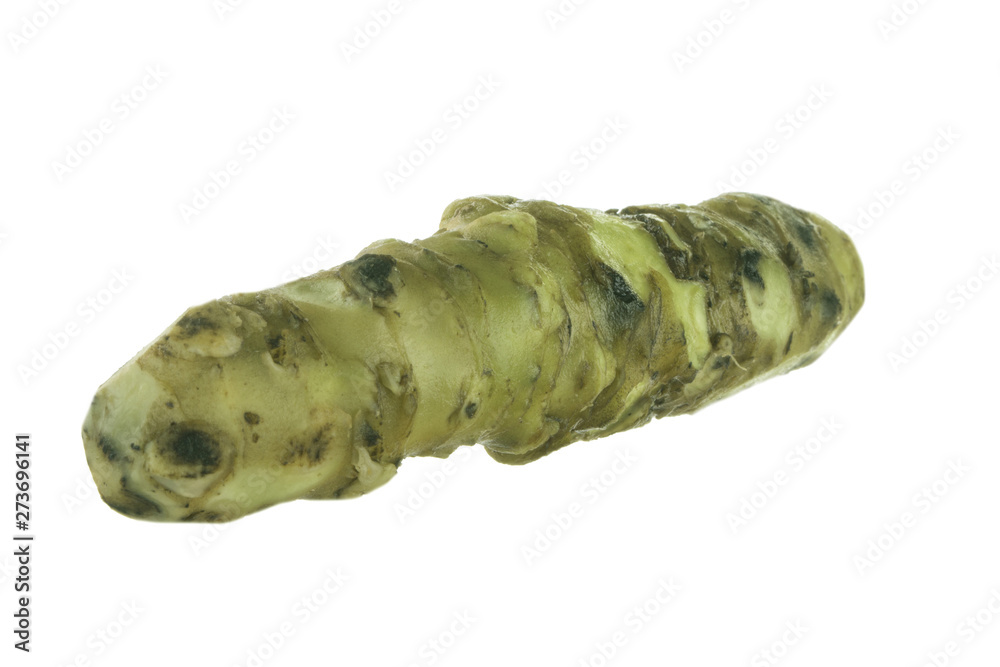 wasabi root isolated on white background