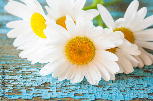 Chamomile flowers on wooden background with copy space