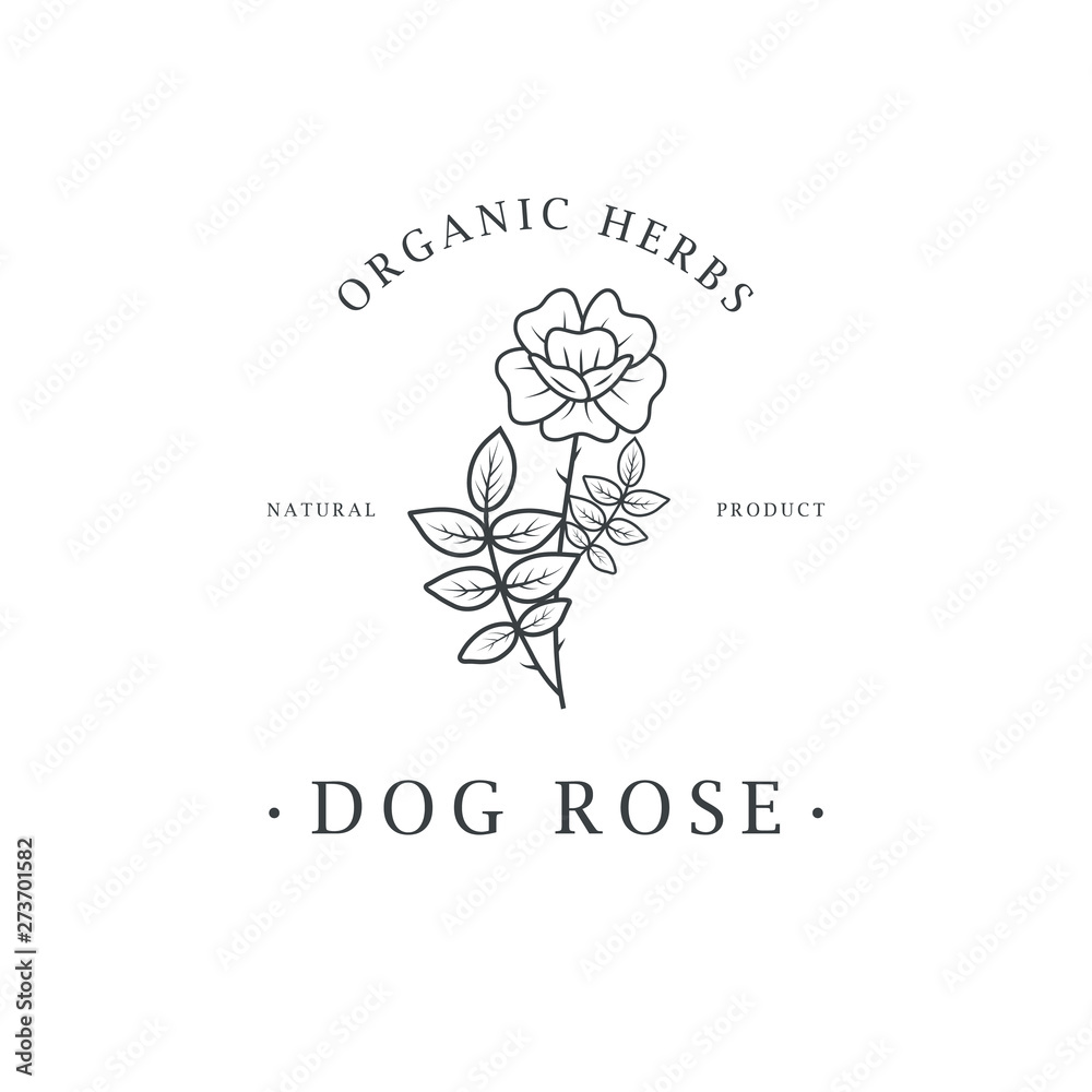Fototapeta premium Dog-rose flower. Logo for spa and beauty salon, boutique, organic shop, wedding, floral designer, interior, photography, cosmetic. Botanical floral element.