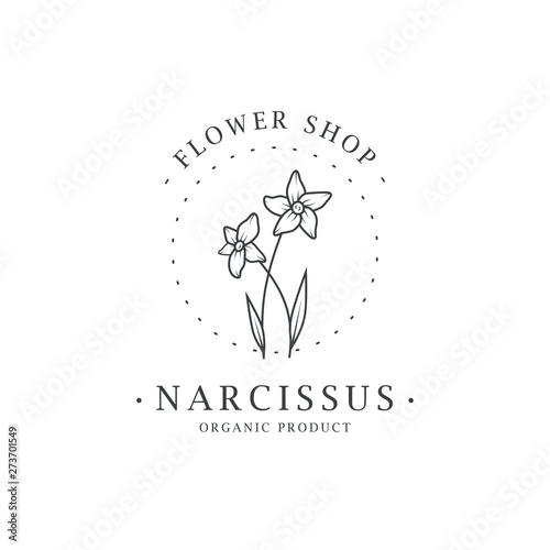 Narcissus flower. Logo for spa and beauty salon, boutique, organic shop, wedding, floral designer, interior, photography, cosmetic. Botanical floral element.