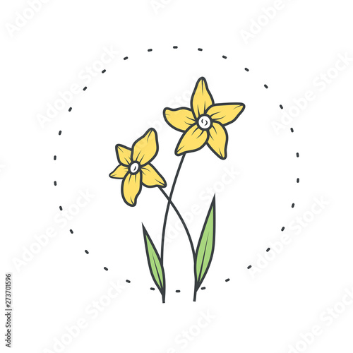 Narcissus flower. Logo for spa and beauty salon, boutique, organic shop, wedding, floral designer, interior, photography, cosmetic. Botanical floral element.