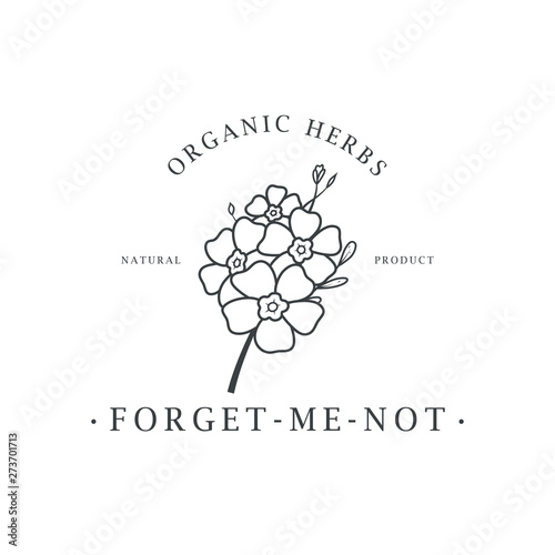 Forget me not flower. Logo for spa and beauty salon, boutique, organic shop, wedding, floral designer, interior, photography, cosmetic. Botanical floral element.
