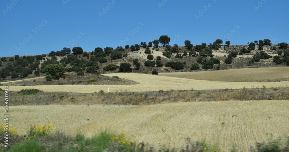 Paisajes de cultivos con montañas visto desde la carretera.