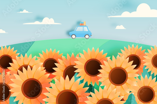 Sunflower field with road trip car
