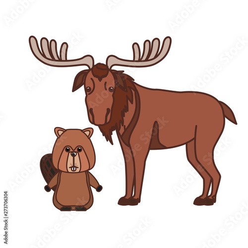 Beaver and moose animal of canada design