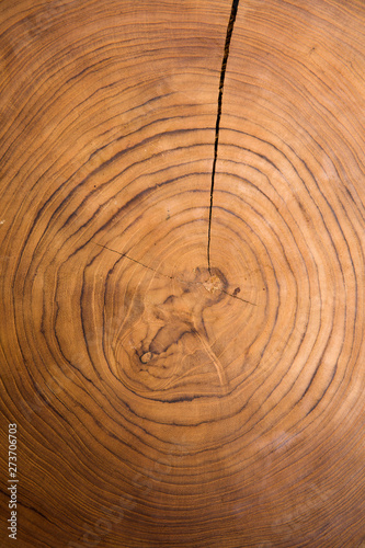 Large circular piece of woo...