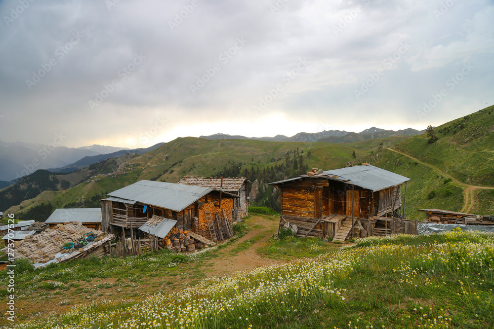 Fototapeta premium beautiful dark blue mountain landscape with fog and forest.artvin/turkey