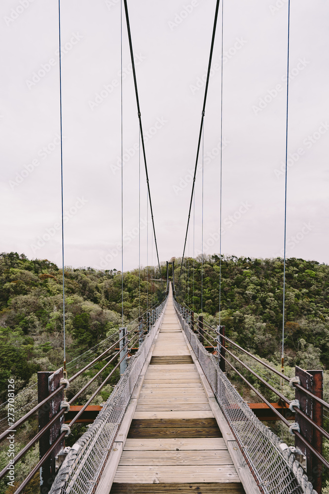 Obraz premium 星のブランコ