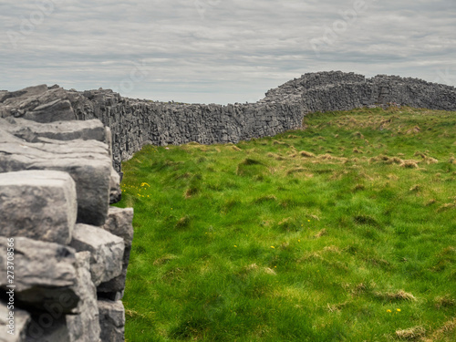 Hand made dry stone fence and green field, Ireland.