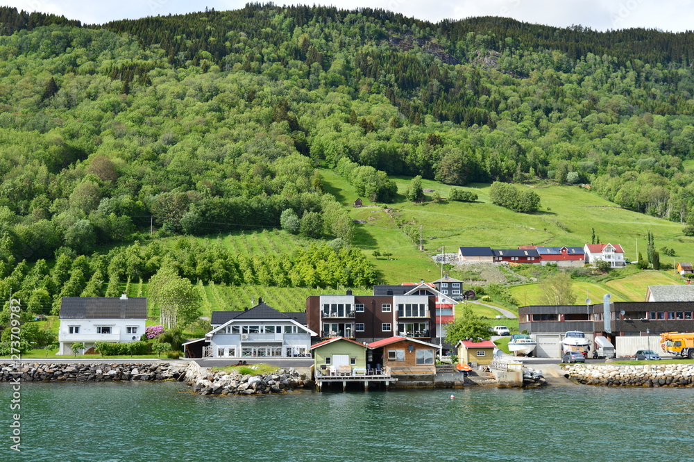 Fototapeta premium Norwegian Village by the Fiord