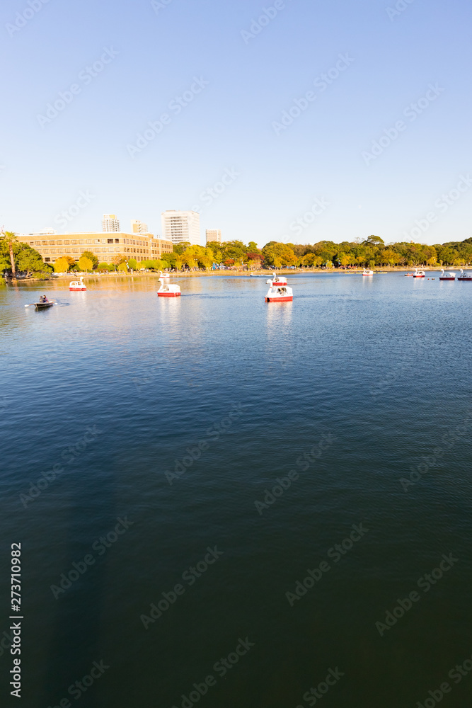 ボートが浮かぶ大濠公園