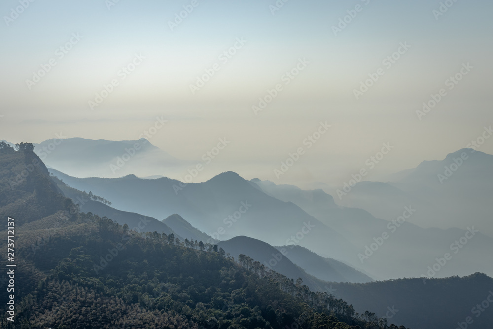 Mountain range in mist with forest
