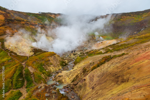 Water vapor over the Valley of Small Geysers. Kamchatka, Russia.